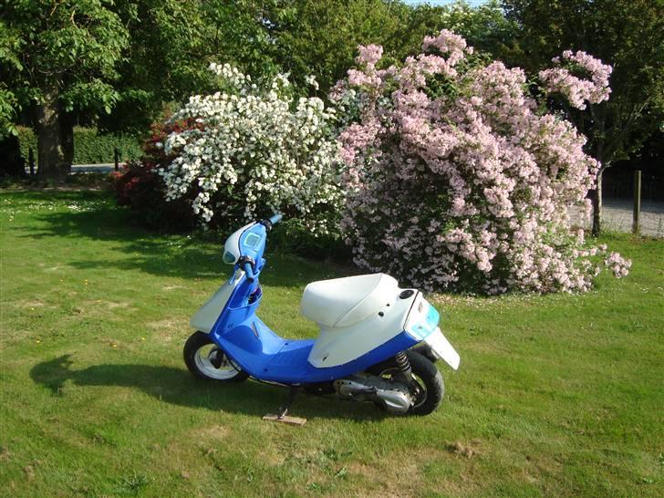 Yamaha jog as "projekt" billede 2