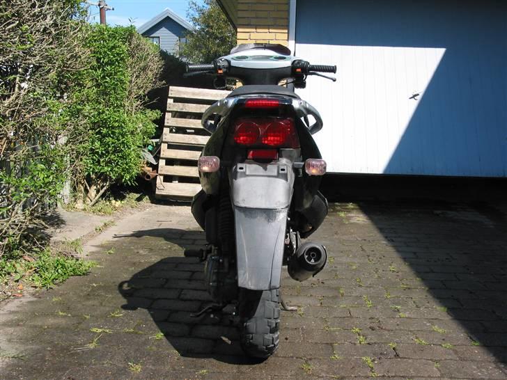 PGO Dr. Big billede 7