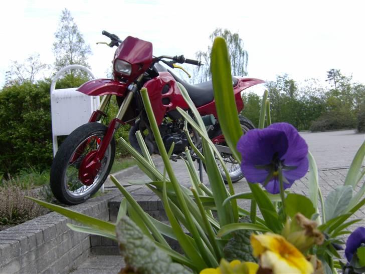 Suzuki smx byttet til jog r :)  billede 13