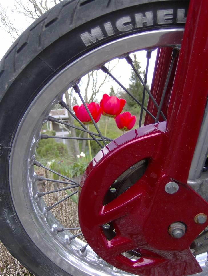 Suzuki smx byttet til jog r :)  billede 16