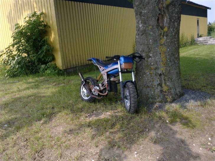 Suzuki street/Rox BYTTET TIL SFX billede 4