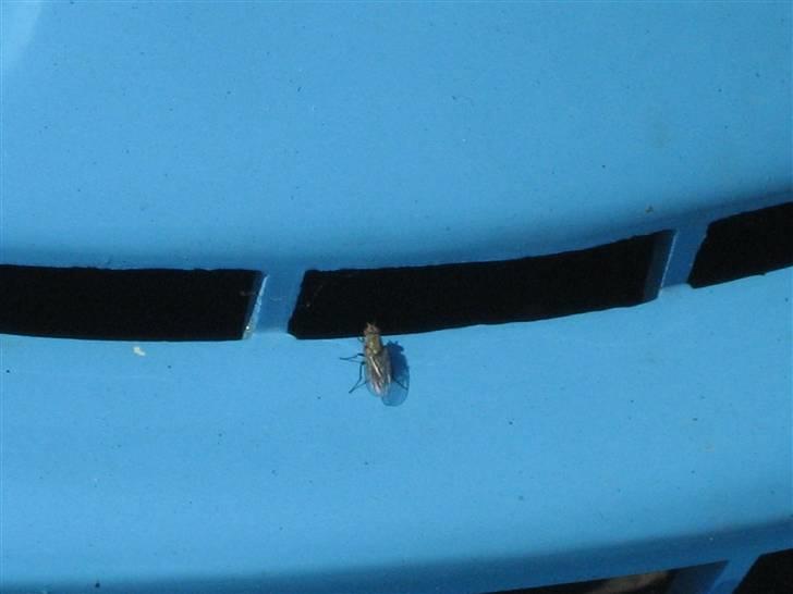 Yamaha Jog Fs billede 6