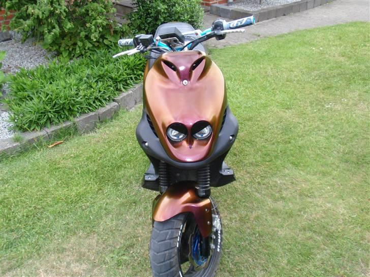 PGO PMX Naked Solgt billede 4