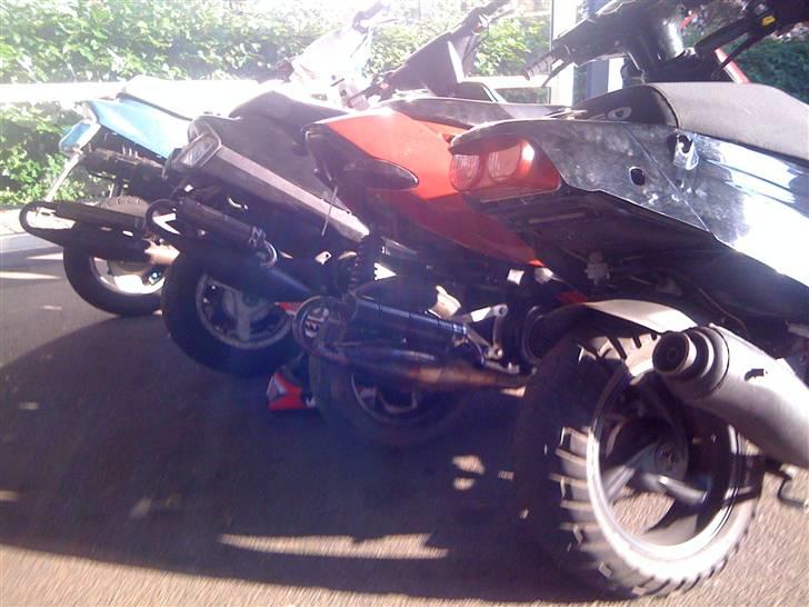 Aprilia Sonic EVO  - hvilken er fedest billede 11