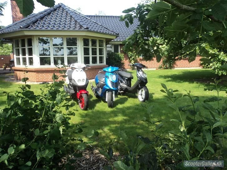 PGO Hot50 SOLGT billede 15