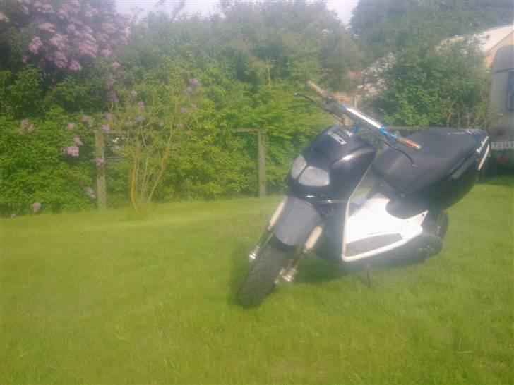 Aprilia Rally byttet billede 2