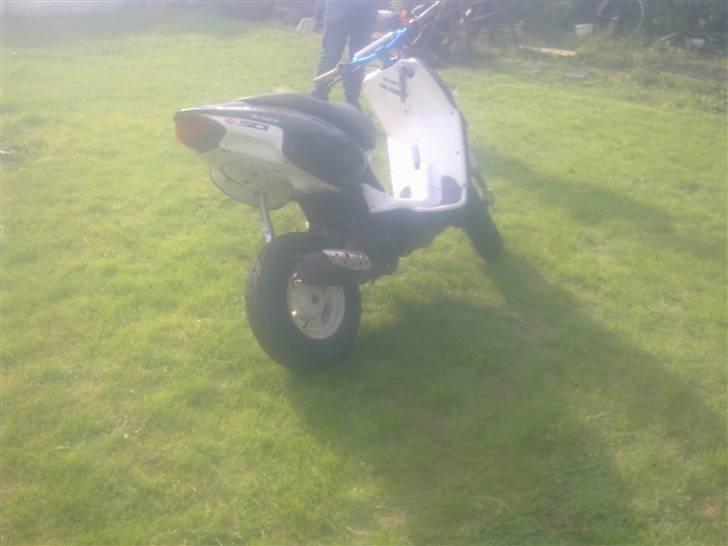 Aprilia Rally byttet billede 3