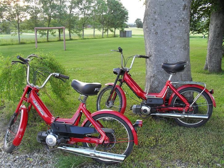 Puch Maxi K billede 6