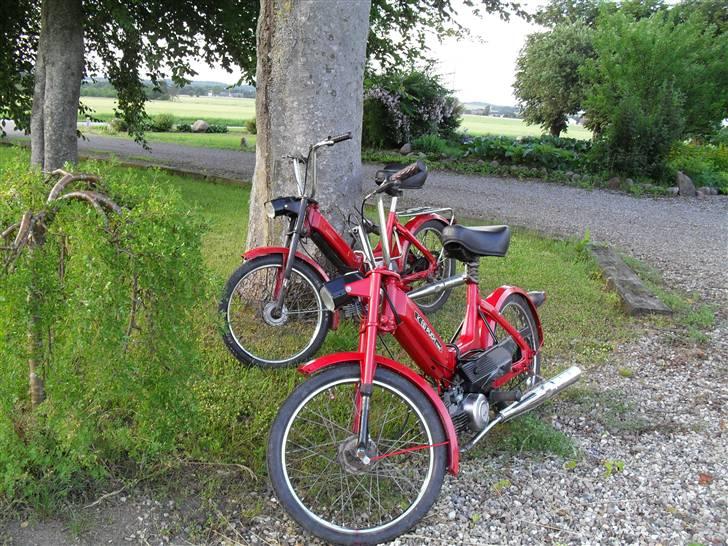 Puch Maxi K billede 7