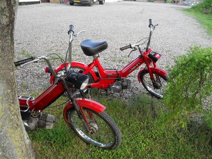 Puch Maxi K billede 8
