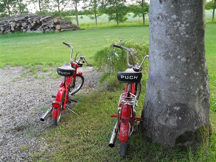 Puch Maxi K billede 9