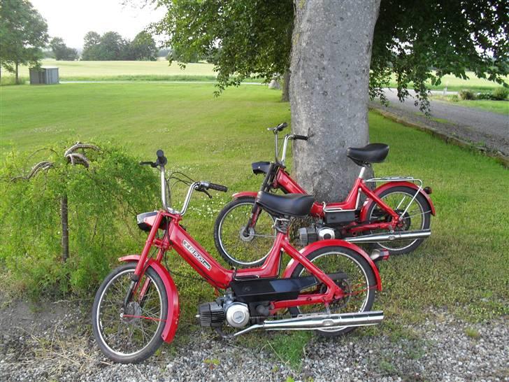 Puch Maxi K billede 10