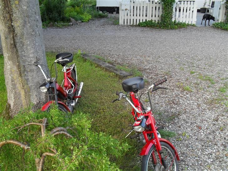 Puch Maxi K billede 11