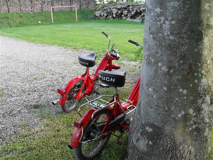 Puch Maxi K billede 12