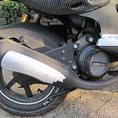 PGO Pmx Naked Carbon 08'