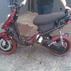 PGO hot/sr50 evo byttet