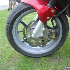 PGO hot/sr50 evo byttet