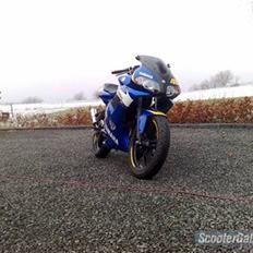 Yamaha Tzr Limited edition solgt
