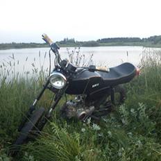 Suzuki DM50