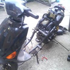 PGO RodoShow (SOLGT)