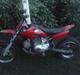 MiniBike Gaspower