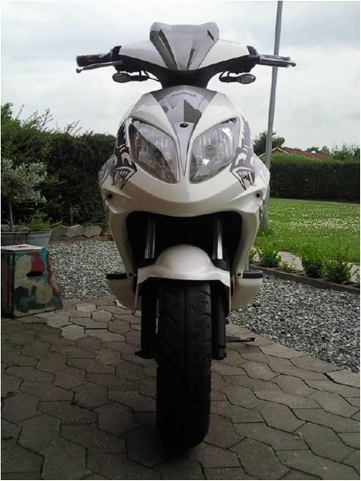 Giantco Spartan Solgt billede 7