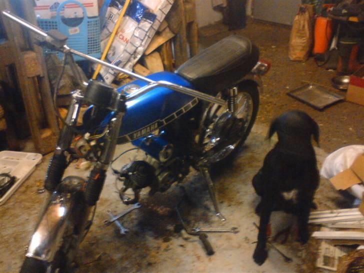 Yamaha fs1 4 gear DX SOLGT - yamsen og vores hund :D billede 5