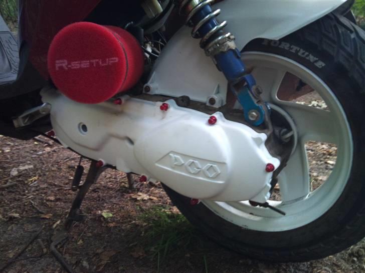 PGO hot 50 billede 12