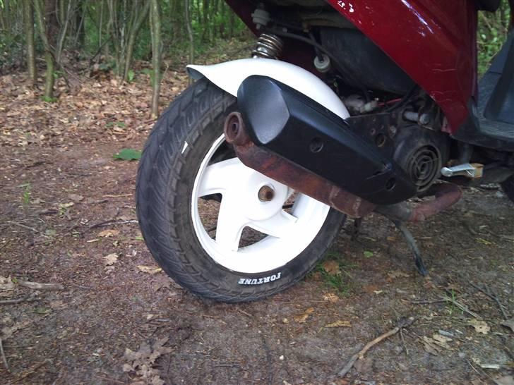 PGO hot 50 billede 13