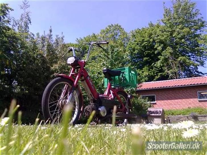 Puch Maxi P 1979 - Byttet - foer renovering billede 14
