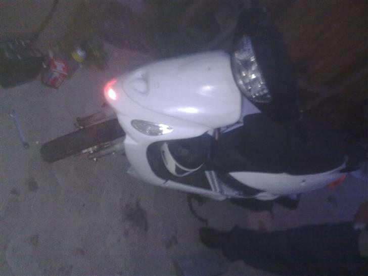 Pexma Mutanten billede 1