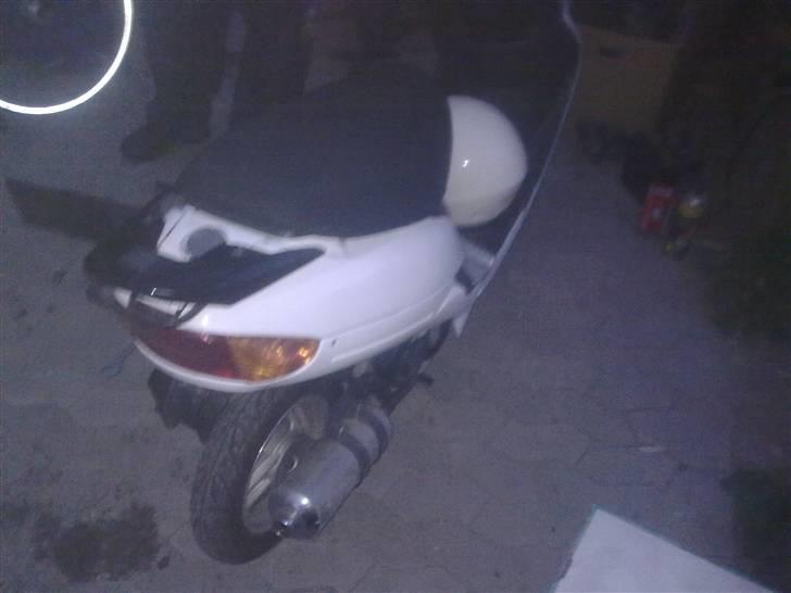 Pexma Mutanten billede 3