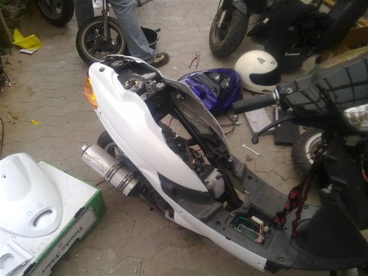 Pexma Mutanten billede 5