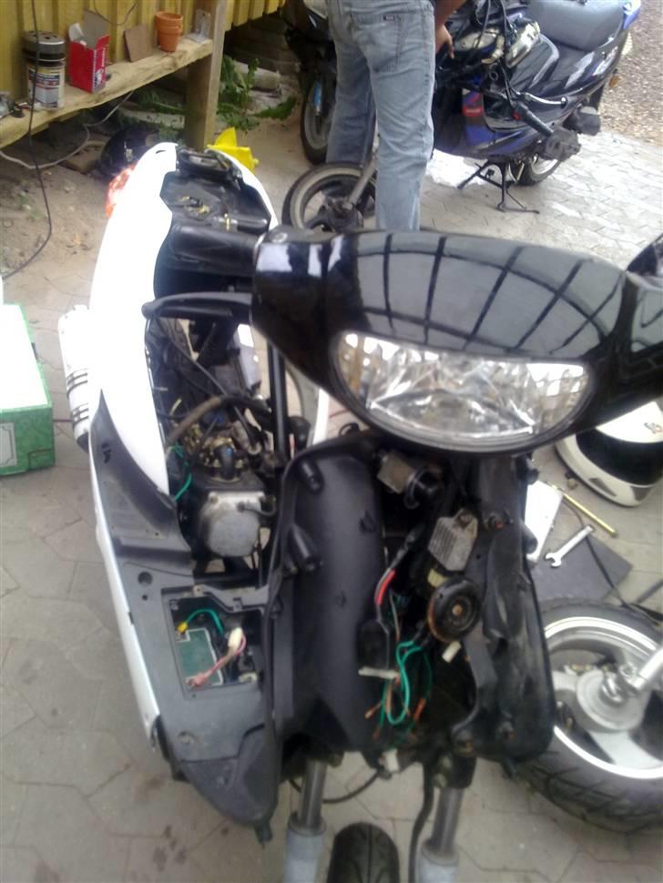 Pexma Mutanten billede 6