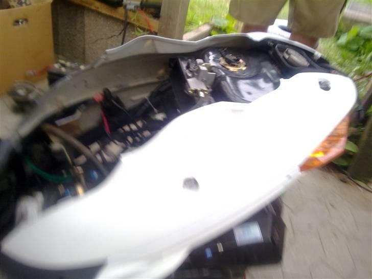 Pexma Mutanten billede 7