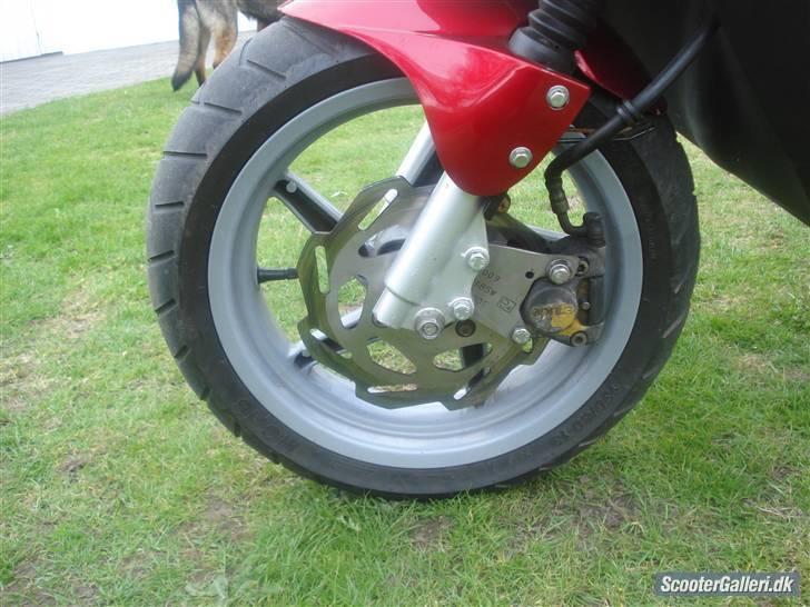 PGO hot/sr50 evo byttet billede 2