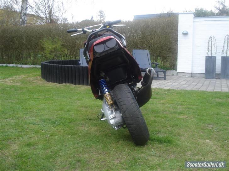 PGO hot/sr50 evo byttet billede 4