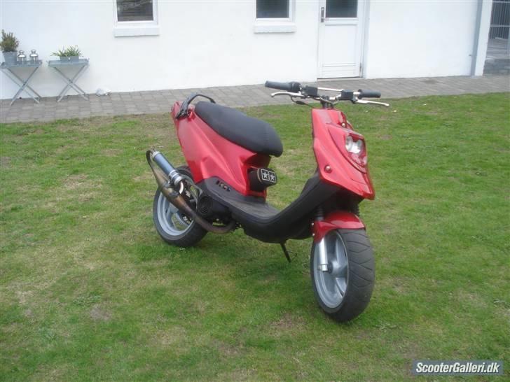 PGO hot/sr50 evo byttet billede 5