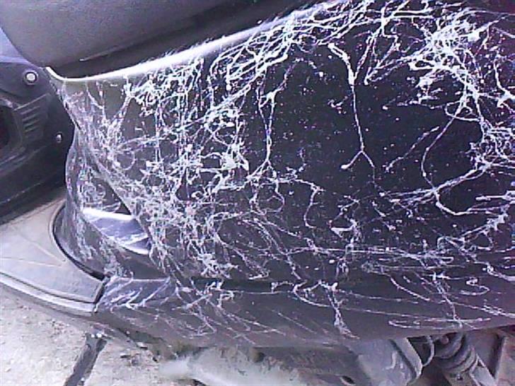 Aprilia Amico Gl   #SOLGT# billede 3