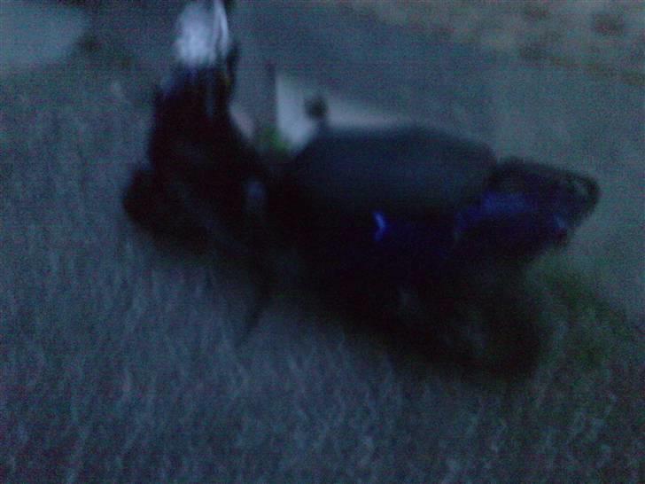 PGO Hot 50 byttet til pbr billede 9