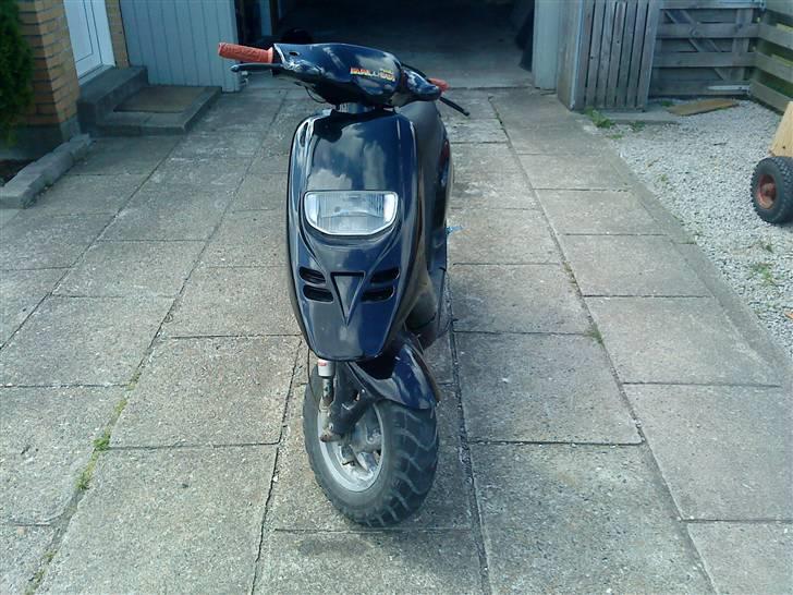 Piaggio typhoon Tøffe billede 1