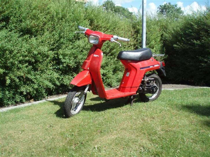 Honda Melody Mini billede 1