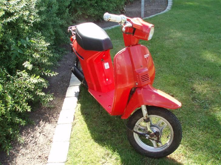Honda Melody Mini billede 8