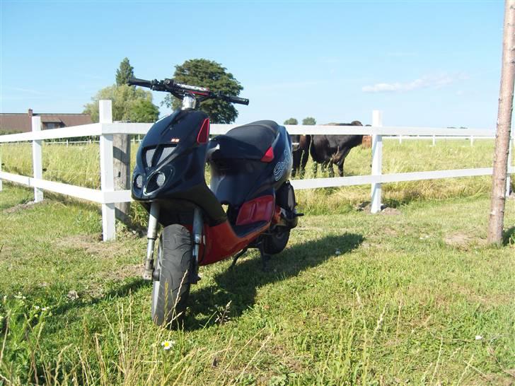 Piaggio Nrg Mc3 AC "BYTTET" billede 1