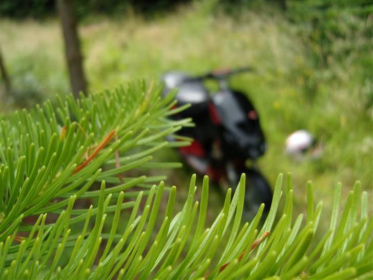 Piaggio Nrg Mc3 AC "BYTTET" billede 2