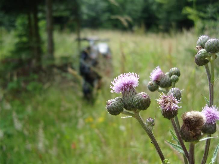 Piaggio Nrg Mc3 AC "BYTTET" billede 11