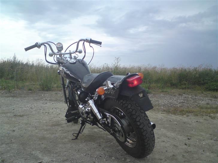 Regal Raptor  billede 2