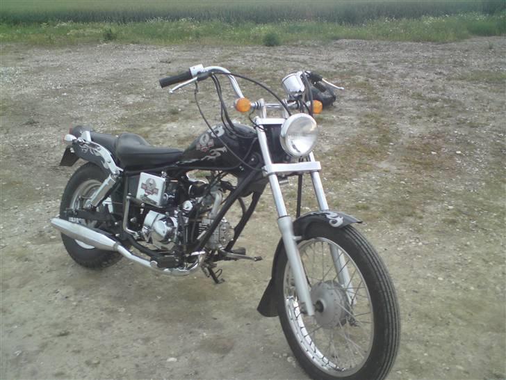 Regal Raptor  billede 3