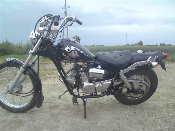 Regal Raptor  billede 5