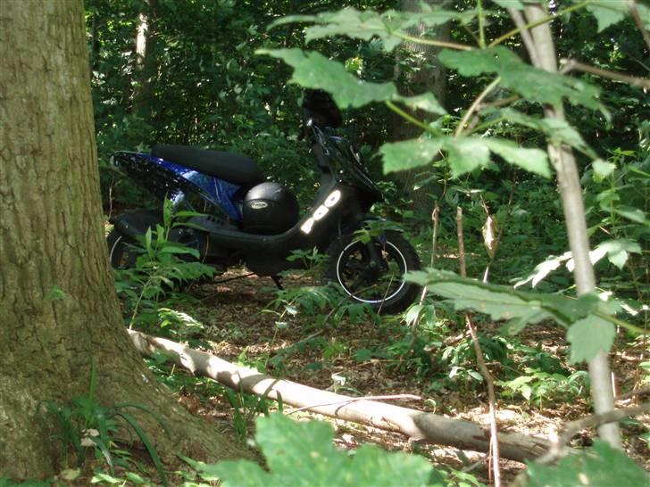 PGO Hot 50 streetrace SMADRET - 7/7-2010 billede 19